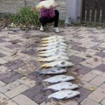 f881ca287c5fcfe878734903c2c2113c